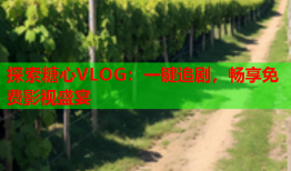 探索糖心VLOG：一键追剧，畅享免费影视盛宴