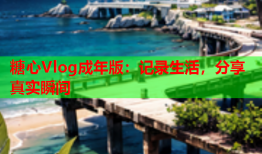 糖心Vlog成年版：记录生活，分享真实瞬间