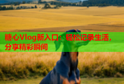 糖心Vlog新入口：轻松记录生活，分享精彩瞬间