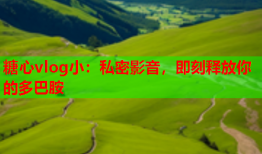 糖心vlog小：私密影音，即刻释放你的多巴胺