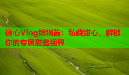 糖心Vlog锅锅酱：私藏甜心，解锁你的专属甜蜜视界