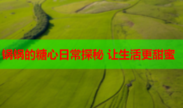 锅锅的糖心日常探秘 让生活更甜蜜