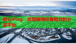 糖心Vlog：展现独特纹身魅力的分享平台