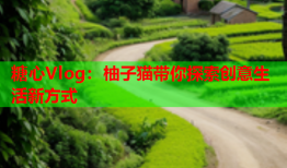 糖心Vlog：柚子猫带你探索创意生活新方式
