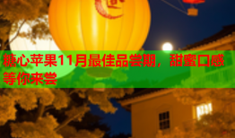 糖心苹果11月最佳品尝期，甜蜜口感等你来尝