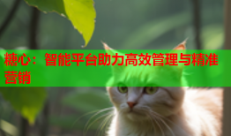 糖心：智能平台助力高效管理与精准营销