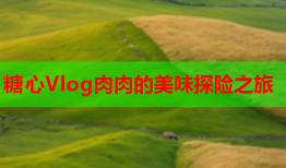 糖心Vlog肉肉的美味探险之旅