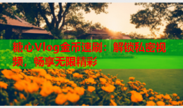 糖心Vlog金币速刷：解锁私密视频，畅享无限精彩