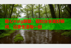 糖心Volg酥酥：轻松分享美好瞬间，记录生活每一刻