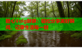 糖心Volg酥酥：轻松分享美好瞬间，记录生活每一刻