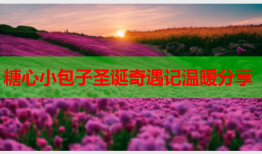 糖心小包子圣诞奇遇记温暖分享