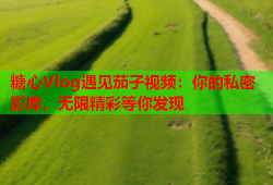 糖心Vlog遇见茄子视频：你的私密影库，无限精彩等你发现