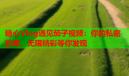 糖心Vlog遇见茄子视频：你的私密影库，无限精彩等你发现