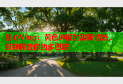 糖心Vlog：黄色绅度的甜蜜诱惑，即刻释放你的多巴胺