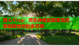 糖心Vlog：黄色绅度的甜蜜诱惑，即刻释放你的多巴胺