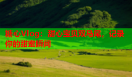 糖心Vlog：甜心宝贝双马尾，记录你的甜蜜瞬间