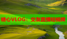 糖心VLOG：交友直播短视频