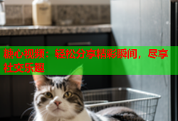 糖心视频：轻松分享精彩瞬间，尽享社交乐趣