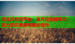 河北云教育平台：全方位在线学习，助力知识更新与技能提升