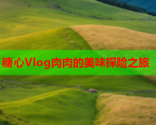 糖心Vlog肉肉的美味探险之旅