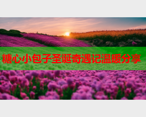 糖心小包子圣诞奇遇记温暖分享
