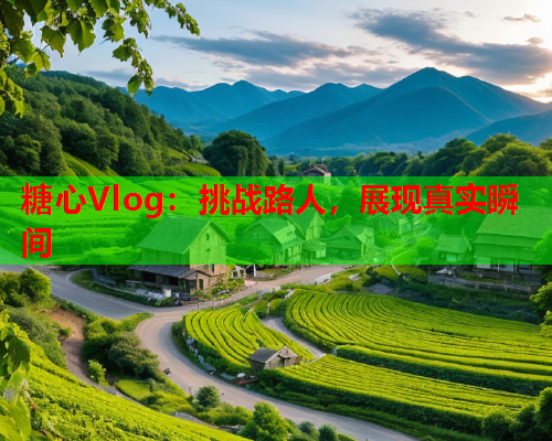 糖心Vlog：挑战路人，展现真实瞬间