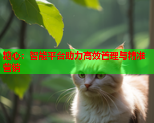 糖心：智能平台助力高效管理与精准营销